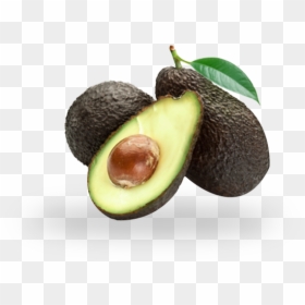 Avocados - อะ โว คา โด แฮ ส, HD Png Download - avocados png