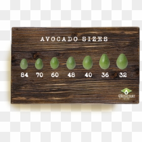 Avocado Sizes Table - Plywood, HD Png Download - avocados png