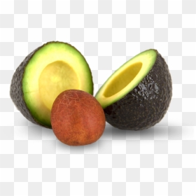 Avocado Pit, HD Png Download - avocados png