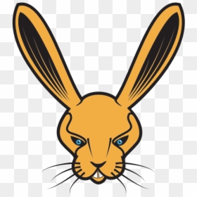 Rabbit"s Head Clip Art - Free Rabbit Vector Art, HD Png Download - bunny head png