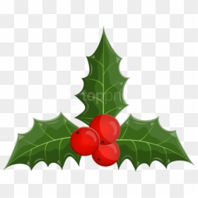Transparent Mistletoe Png - Mistletoe Christmas Cliparts Png, Png Download - mistletoe border png