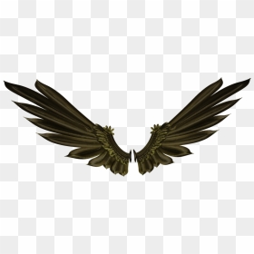 Asas Wings Black Negras Freetoedit - Transparent Background Raven Png, Png Download - alas negras png