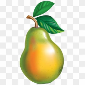 Asian Clip Art Png - Transparent Background Pear Clipart, Png Download - pears png