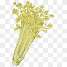 Celery - Seledri Vector Png, Transparent Png - seaweed silhouette png
