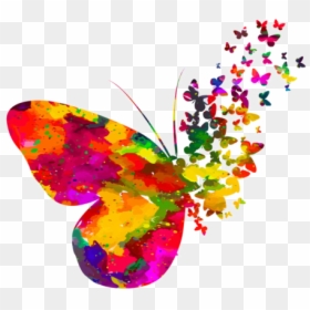 Colorful Butterfly Png, Transparent Png - butterfly bush png