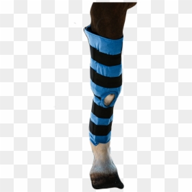 Hockey Sock, HD Png Download - $20 png