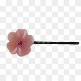 9mfl 2-pk - Artificial Flower, HD Png Download - begonia png