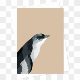 Card And Envelope Little Blue Penguin, HD Png Download - blank greeting card png