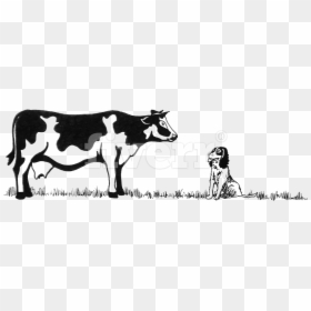 Dairy Cow , Png Download - Dairy Cow, Transparent Png - dairy cow png
