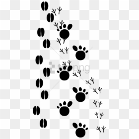 Animal Tracks Clipart, HD Png Download - huellas png