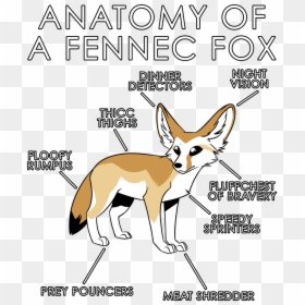 Red Fox, HD Png Download - fox ears png