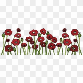 Poppy, HD Png Download - field of flowers png