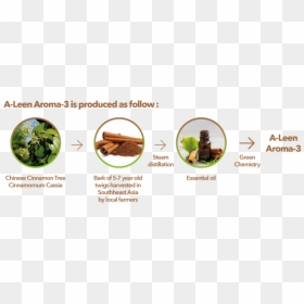 Chocolate, HD Png Download - cinnamon stick png
