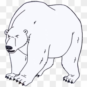 Polar Bear , Transparent Cartoons - Polar Bear, HD Png Download - cartoon polar bear png