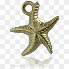 Dije Estrella De Mar Baño De Oro,3 - Starfish, HD Png Download - estrella de mar png