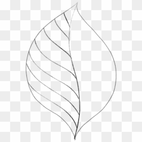 Transparent Leaves Drawing Png - Simple Leaf Transparent Background, Png Download - leaves drawing png