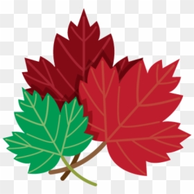 Drawing Of Red And Green Maple Leaves Png Image - Png Drawn Maple Leaf, Transparent Png - leaves drawing png