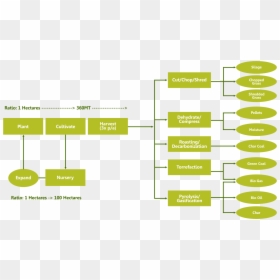 Diagram, HD Png Download - green planet png