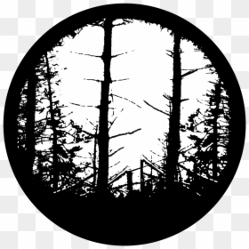 In The Woods - Circle, HD Png Download - woods silhouette png