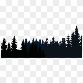 Transparent Forest Background Png - Transparent Background Forest, Png Download - spruce png