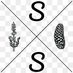 Sagespruce Logomain-02, HD Png Download - spruce png