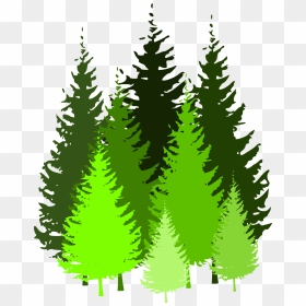 Pine Trees Clip Art, HD Png Download - spruce png