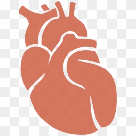 Donation Clipart Hand Heart - Organ Donation Heart Transparent, HD Png Download - organ png