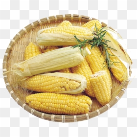 Corn Maize On The Cob Field Clipart Transparent Png - Pod Corn, Png Download - maize png