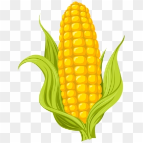 Maize Drawing Photography - Corn Clipart Transparent, HD Png Download - maize png