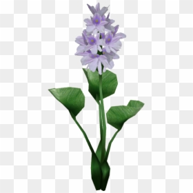 Thumb Image - Water Hyacinth Plant Png, Transparent Png - hyacinth png