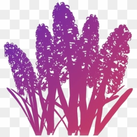 Hyacinth Flower Png Free Transparent Clipart - Flower, Png Download - hyacinth png