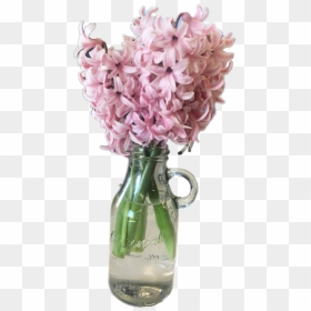 #flower #pink #hyacinth #ftestickers #spring #april - Hyacinth, HD Png Download - hyacinth png