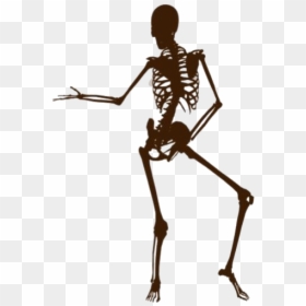 Funny Skeleton Png Image Clipart - Funny Skeleton Png, Transparent Png - funny skeleton png