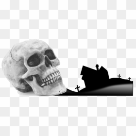 Halloween Skull Png, Transparent Png - funny skeleton png