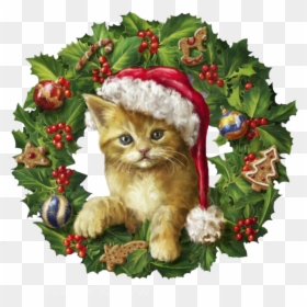 #christmas #cat #wreath - Feliz Navidad Con Gatos, HD Png Download - christmas cat png