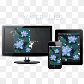 Water Lilies Hero - Samsung Syncmaster, HD Png Download - water lilies png