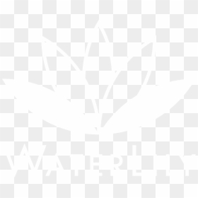 Hamberley Care Homes Logo, HD Png Download - water lilies png