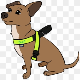 Dog Catches Something, HD Png Download - small dog png