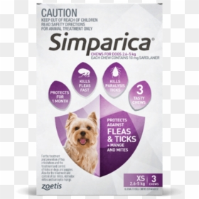 Simparica Blue, HD Png Download - small dog png