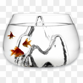 Transparent Small Fish Png - Modern Glass Fish Bowl, Png Download - small fish png