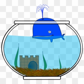 Glass Fish Cartoon Png, Transparent Png - small fish png