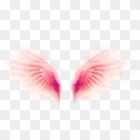 #wings #fly #tumblr #rosa #pink #pastel #cute #fofo - Alas De Angel Psd, HD Png Download - wings png tumblr