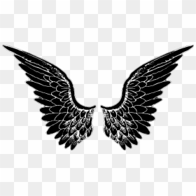 Wings Graffiti Png, Transparent Png - wings png tumblr