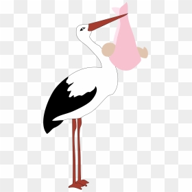 Stork Clipart Baby Png - Babygirl Stork Png, Transparent Png - girl png clipart
