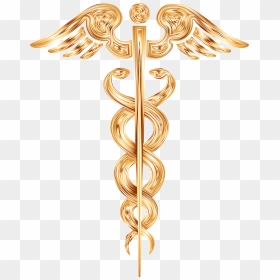 Caduceus Gold - Rod Of Asclepius Gold, HD Png Download - medical caduceus png