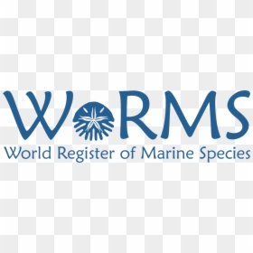 Worms World Marine Register Species, HD Png Download - twitter logo 2017 png