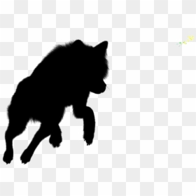 Jumping Wolf Png Drawing - Black Norwegian Elkhound, Transparent Png - wolfpng