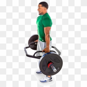 Biceps Curl, HD Png Download - excercise png