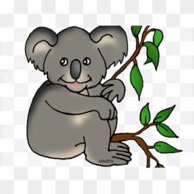 Koala Bear Clipart Phillip Martin - Koala Clip Art, HD Png Download - koala bear png