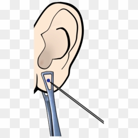Ear Piercing Clipart Image Transparent Free Png - Ear Transparent Piercing Png, Png Download - ear clipart png